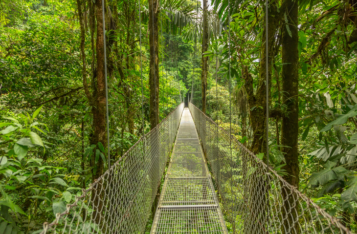 Monteverde Rope Bridge