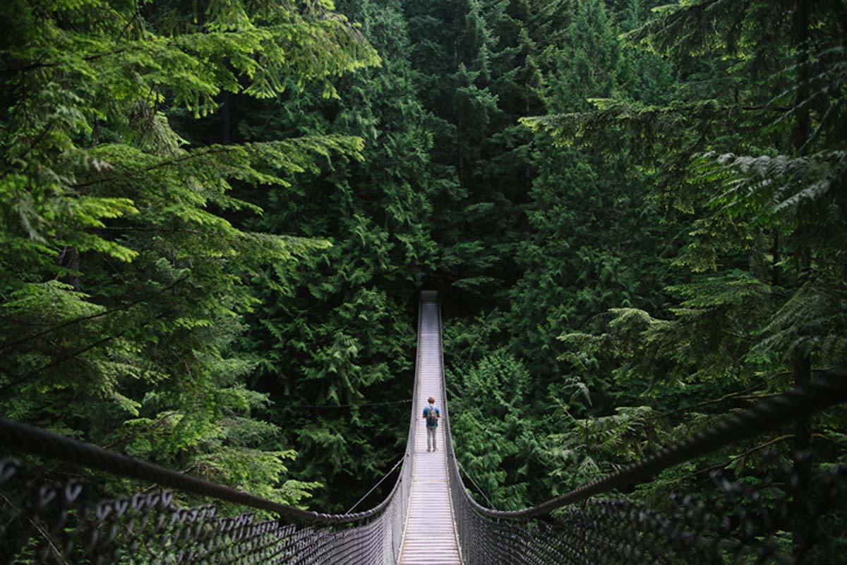 man-walking-on-a-suspension-bridge-in-the-forest