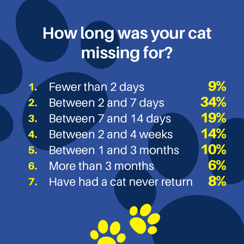 Image of when cats are likely to return home after going missing