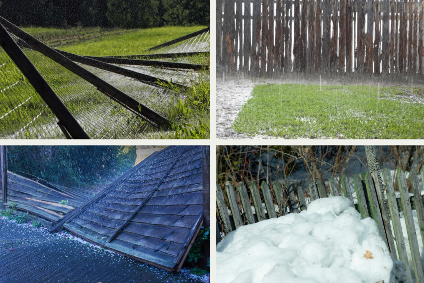 examples of storm damage in the garden insurance doesn't cover