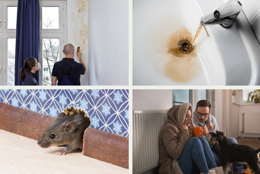 examples of repairs and maintenance jobs landlords are responsible for in the property