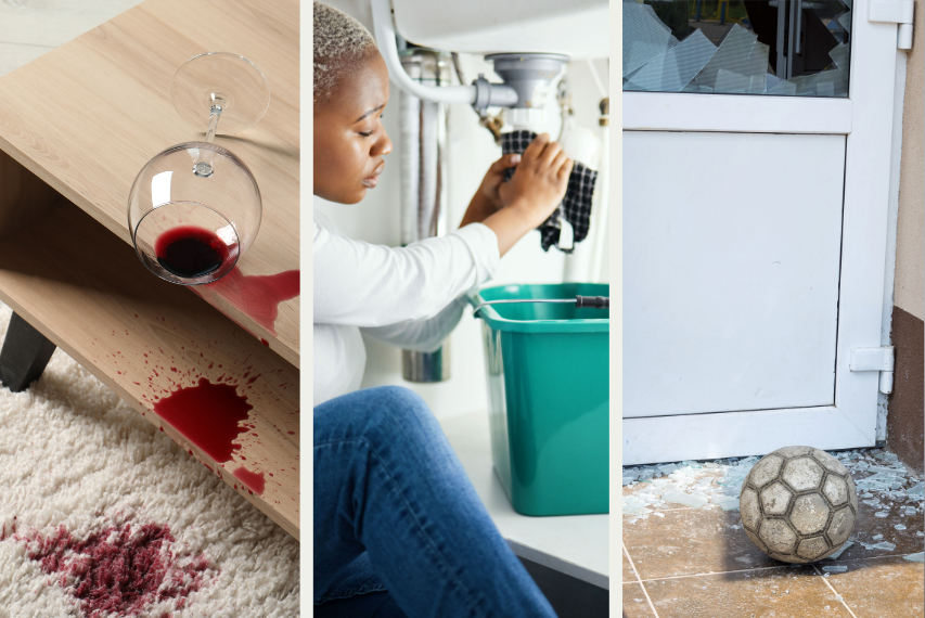 examples of common accidental damage claims