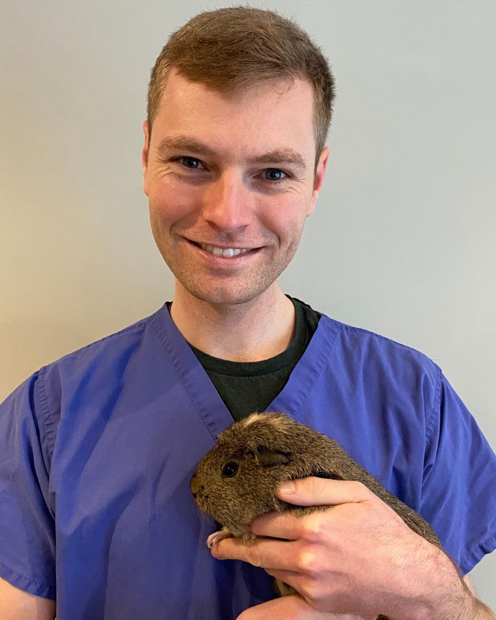 Ben the Vet holding a guinea pig