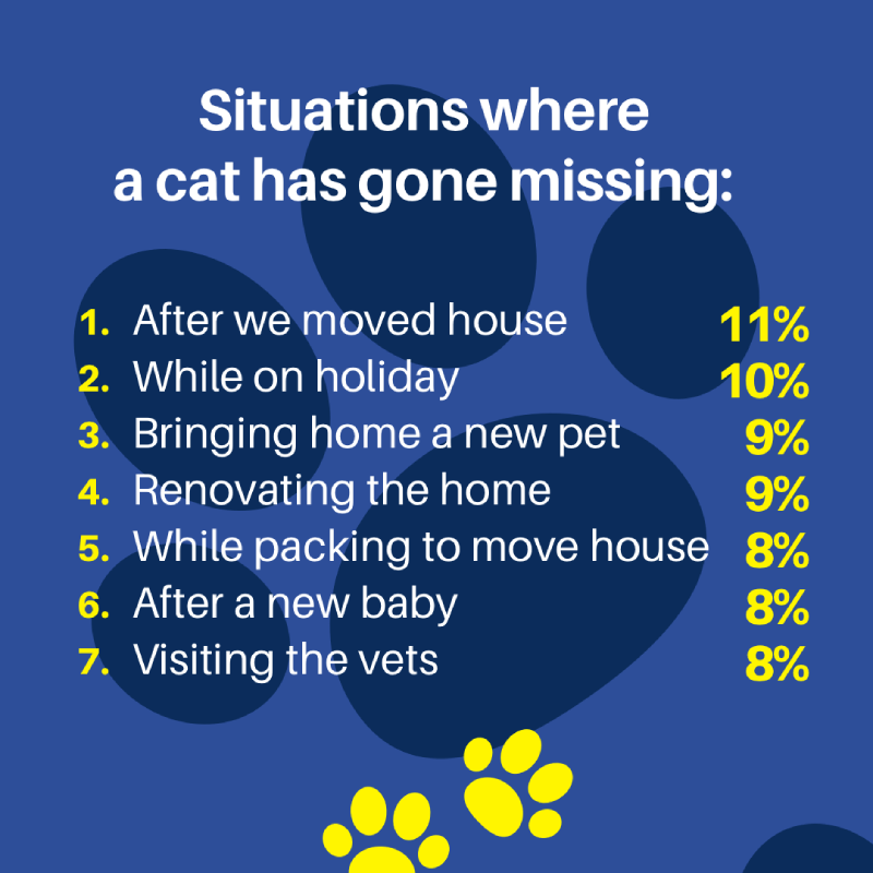 Image discussing situations where cats are likely to go missing.