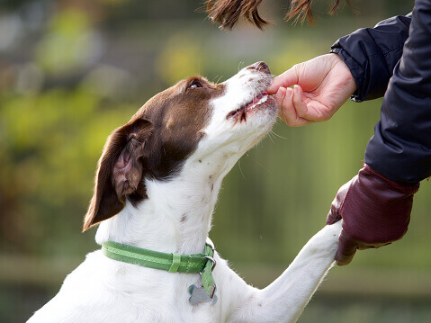 Rewarding good behaviour