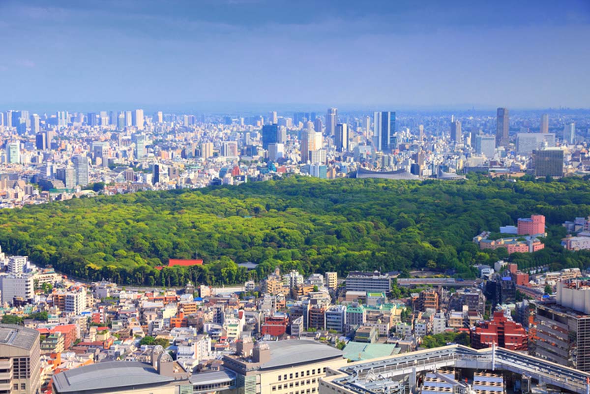 Tokyo, Japan - aerial view of Shinjuku and Shibuya districts with famous Yoyogi Park. Modern city.