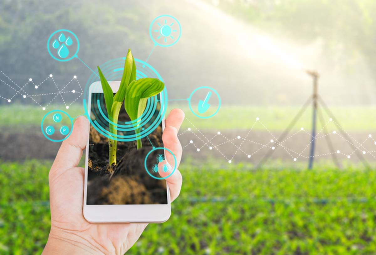 Garden smart tech