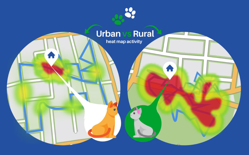 ​​​​Image showing difference in behaviour between rural and urban cats