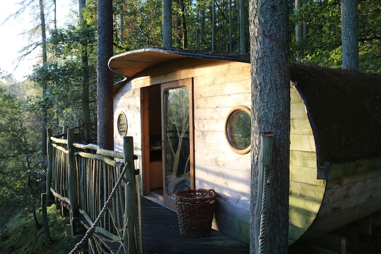 Living Room Treehouses