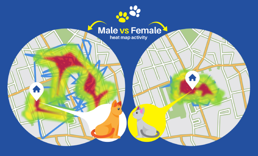 Heat map showing differences between male and female behaviour