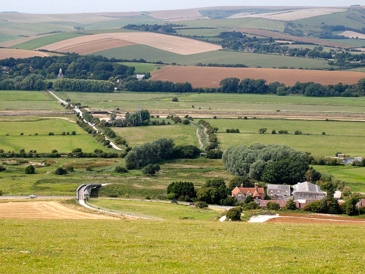 southdowns