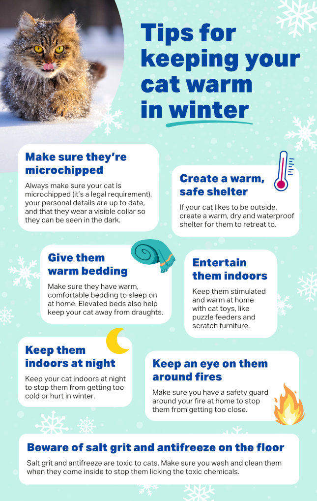 Infographic that shares tips on how to care for your car in the winter