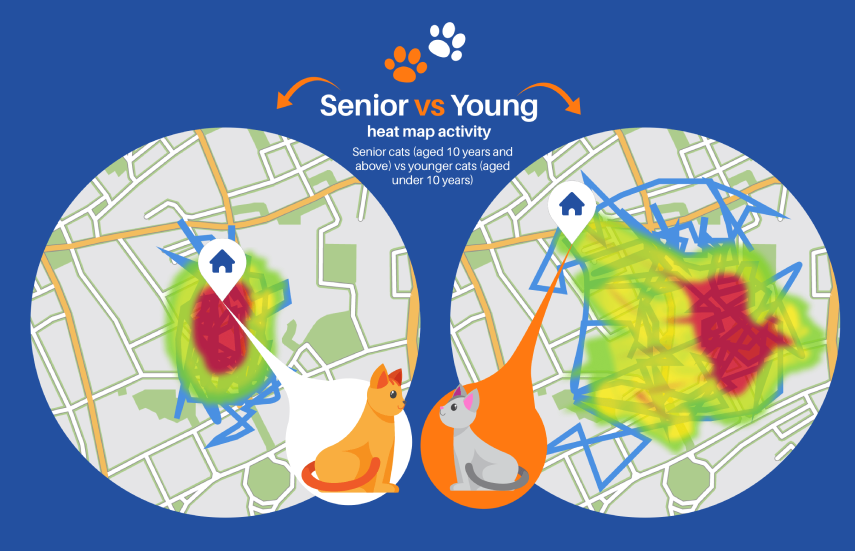 Heat map showing difference in behaviour between senior and young cats