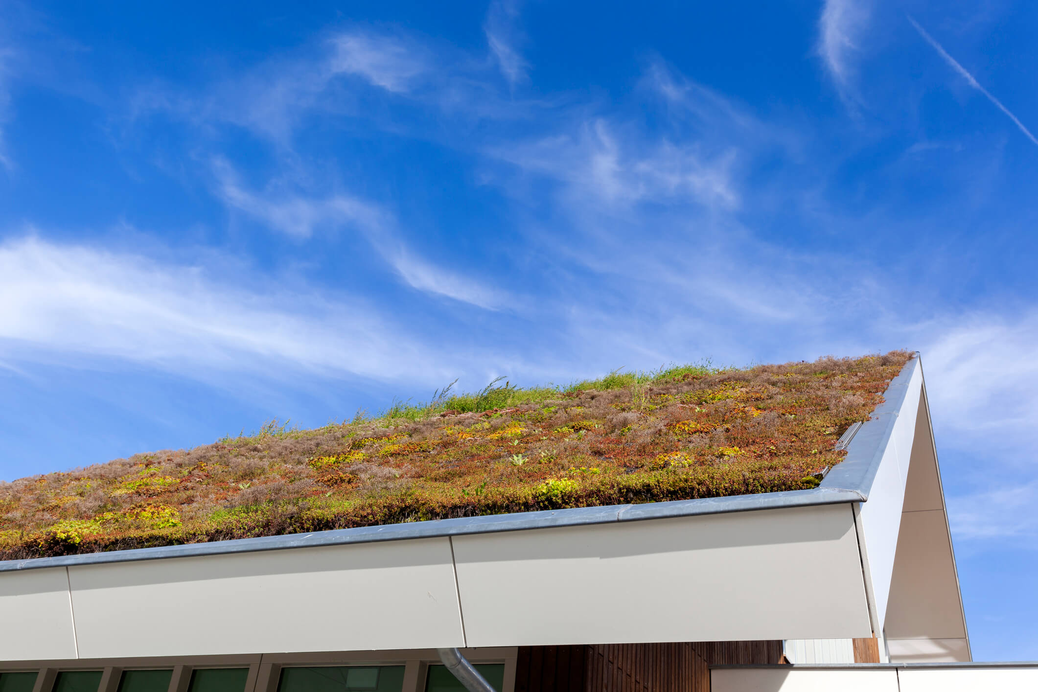building with green roof