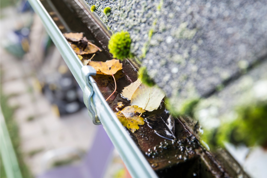 Leaves in house gutter