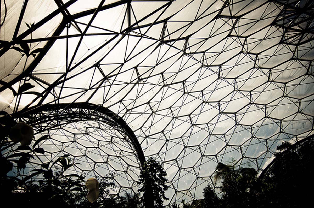 eden-project-roof