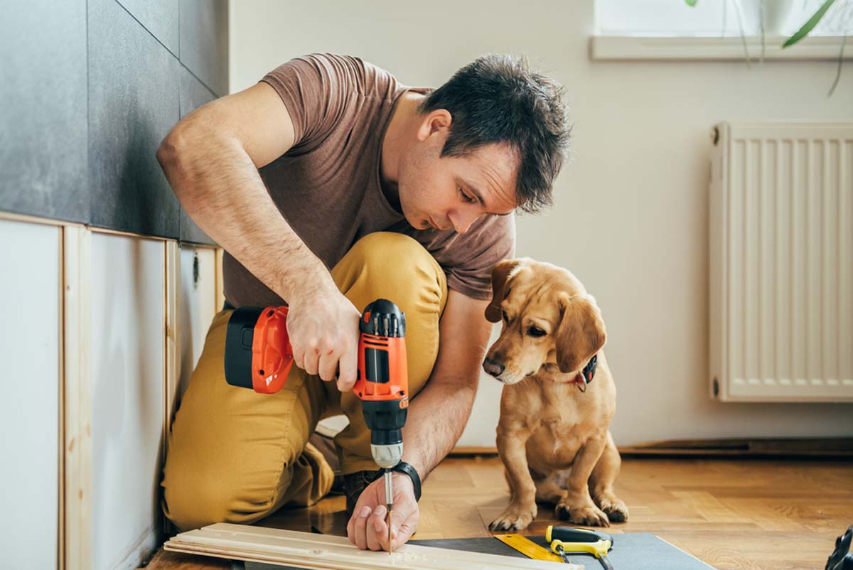 man-drilling-with-a-dog-sat-next-to-him