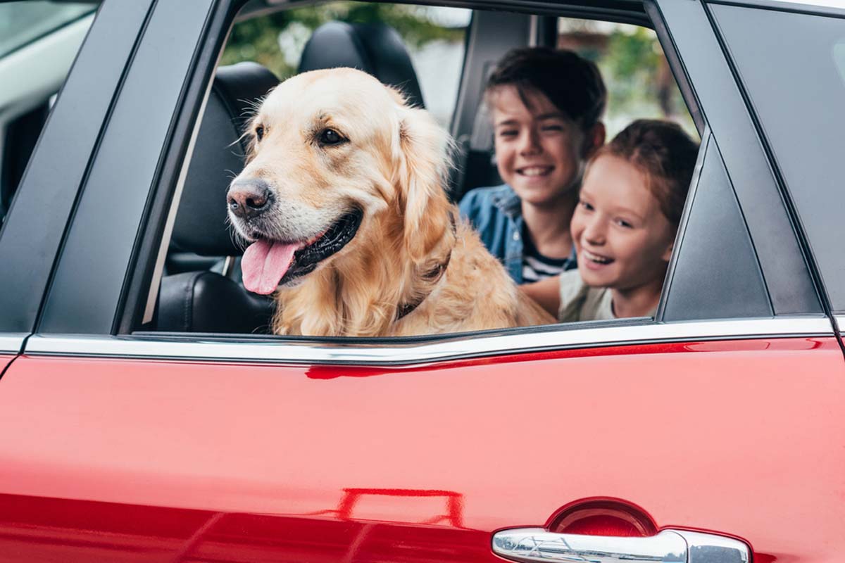 two-children-and-a-dog-in-a-car
