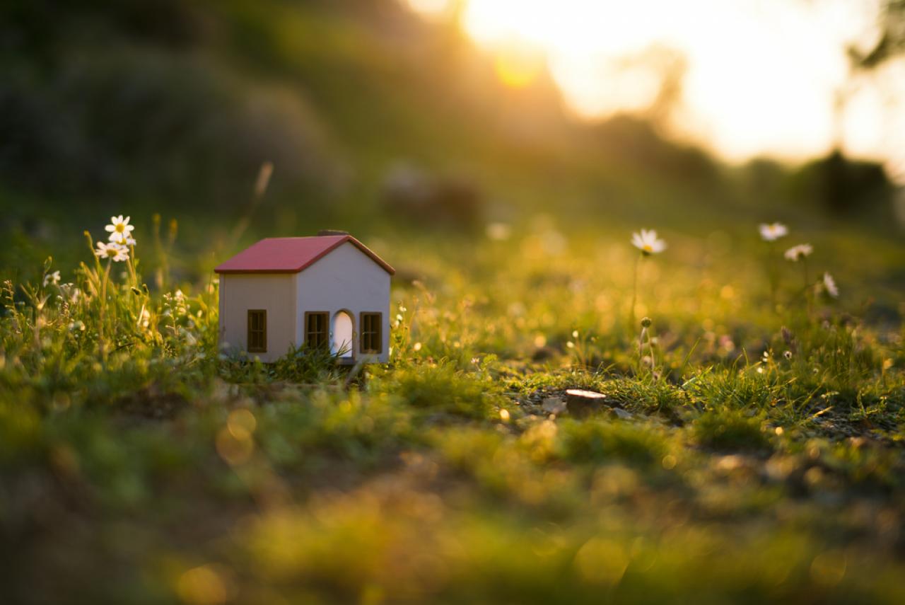 Everything you need to know about home insurance