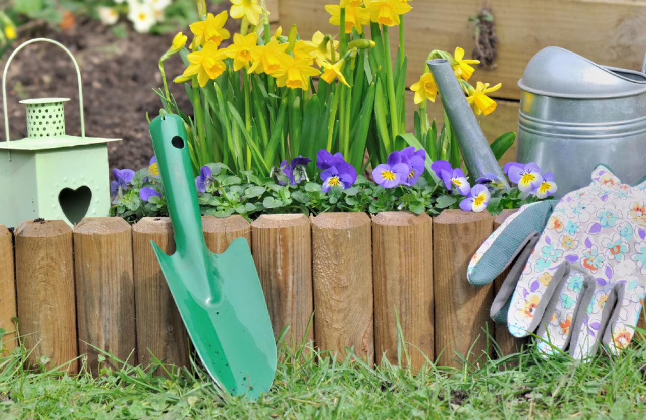 How to keep your garden protected with home insurance