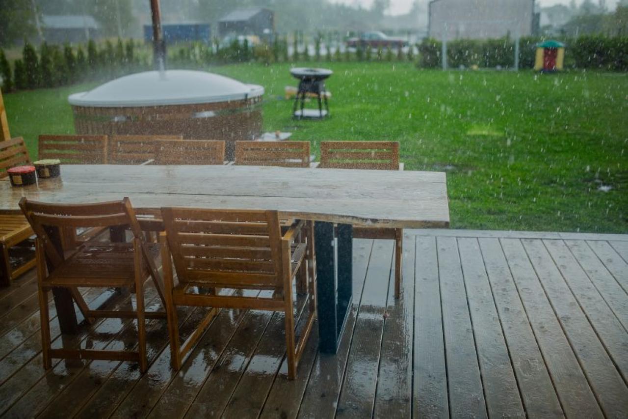 How to storm proof your garden