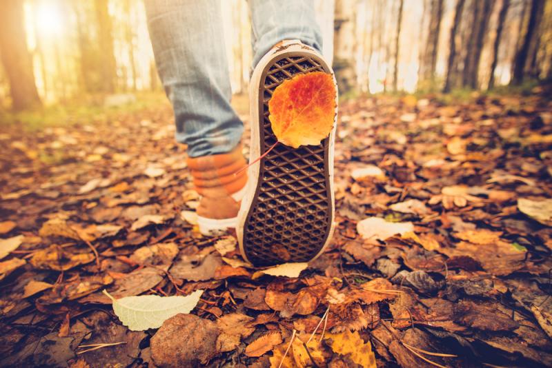 close-up-of-feet-walking-on-fallen-leaves