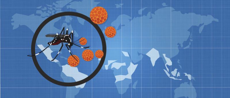 Zika virus concept