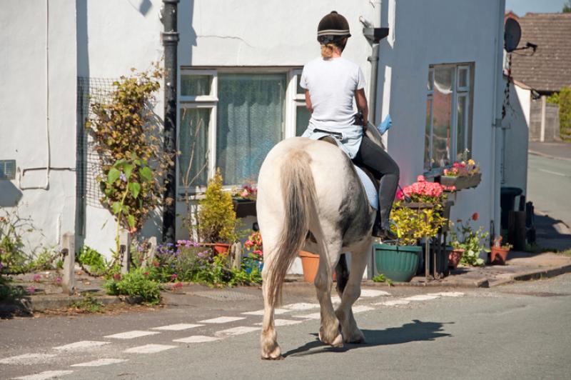 horserider on road