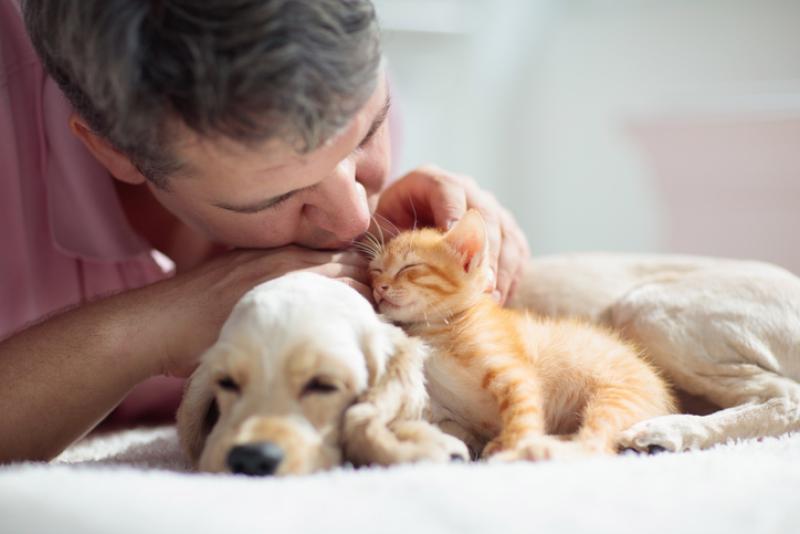puppy-and-kitten