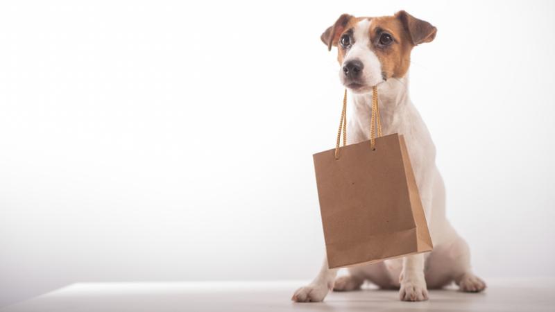 eco-dog