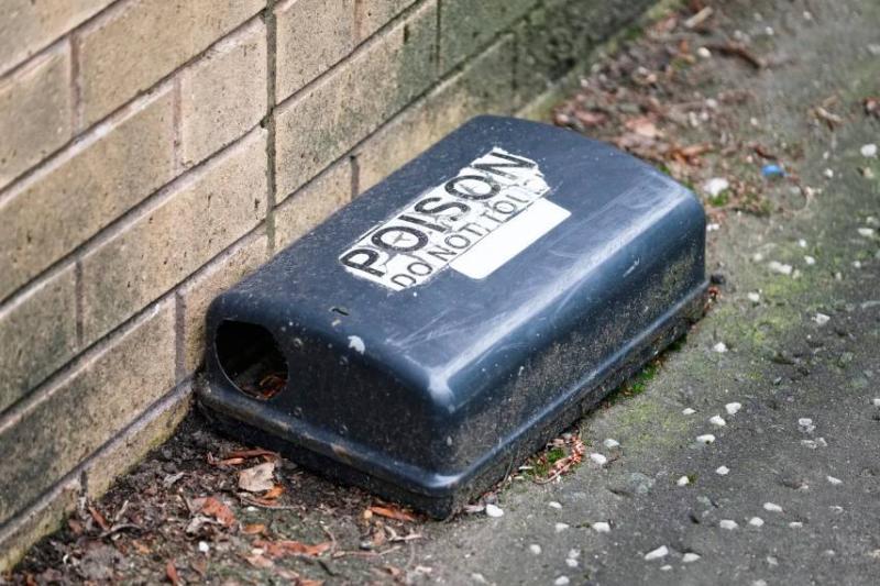 Image of a rat trap.