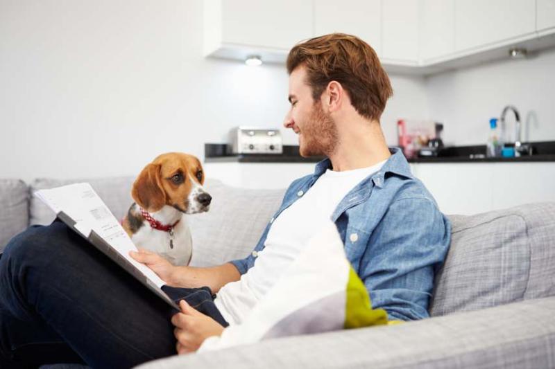 Image of a man looking at his dog with pet insurance documents in hand