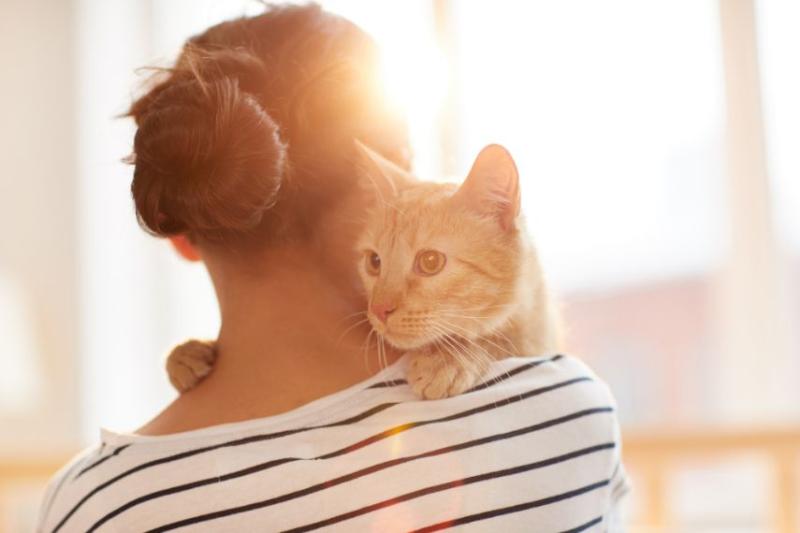 Back view of a woman holding a ginger cat over her shoulder