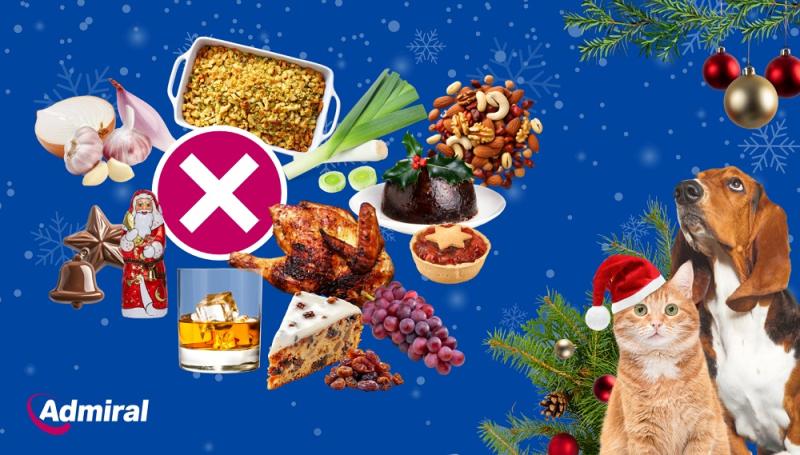 Christmas foods not to feed your pets 