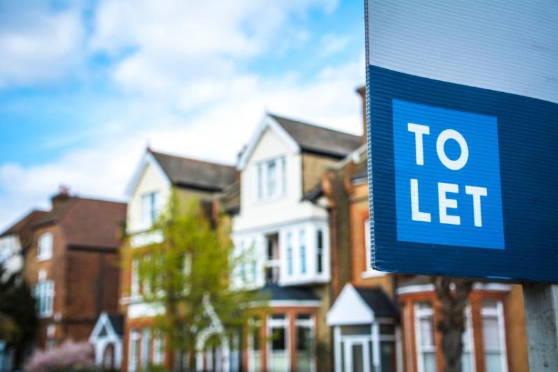 A blue 'to let' sign in front of a row of terraced houses