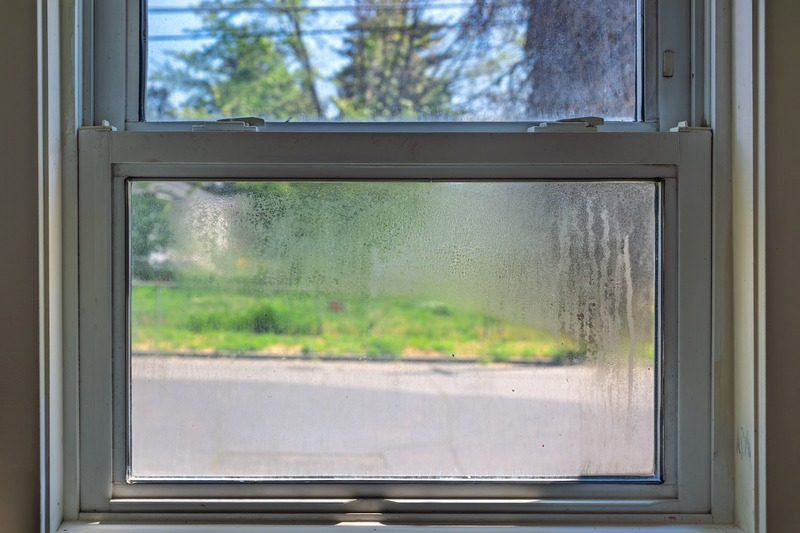 mould and condensation on window
