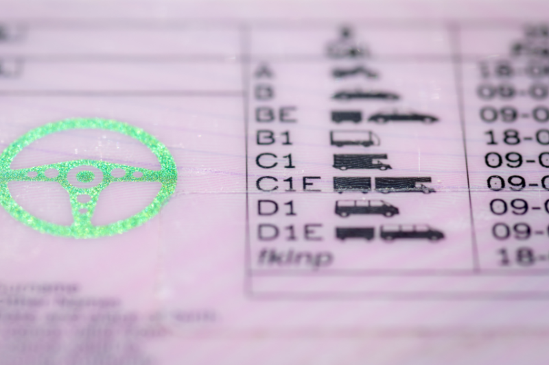 image of back of driving licence