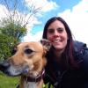How to get a pet passport How to get a pet passport