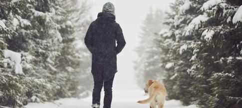 man-walking-labrador-retriever-in-the-snow