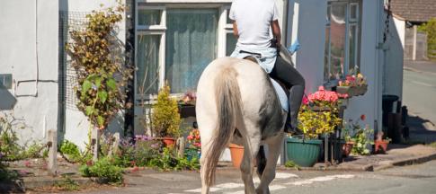 horserider on road