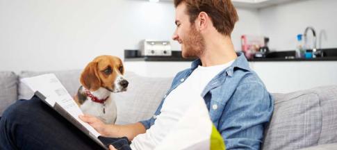 Image of a man looking at his dog with pet insurance documents in hand