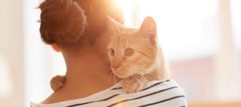 Back view of a woman holding a ginger cat over her shoulder