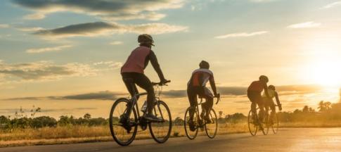 Four people on riding bicycles at sunset