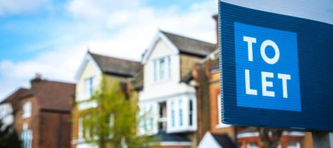 A blue 'to let' sign in front of a row of terraced houses