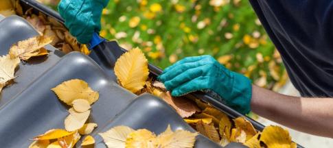 A man with teal gloves clearing out the gutters